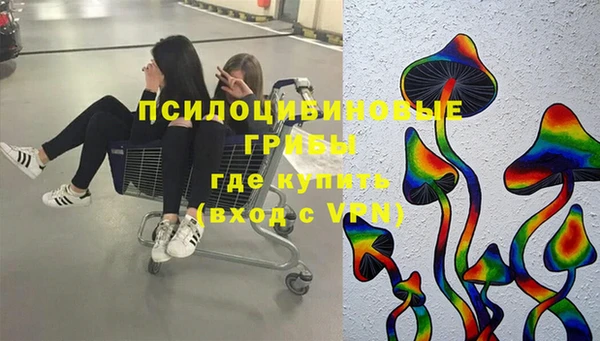 прущий лед Козловка